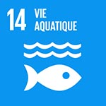 ODD 14 vie aquatique